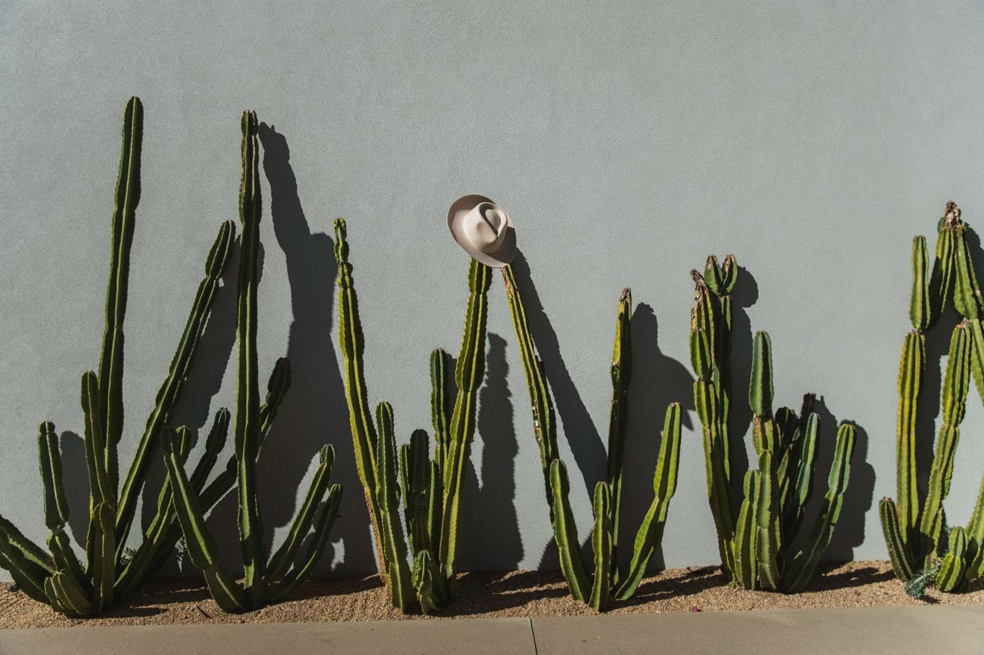 Andaz Scottsdale Resort & Bungalows Экстерьер фото